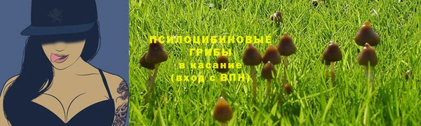 ALPHA PVP Алексин