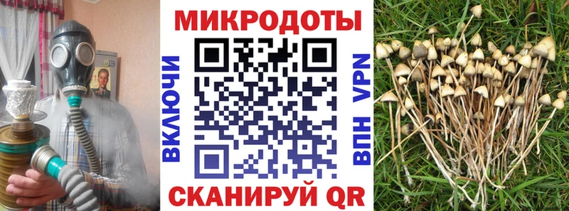 blacksprut ссылка Нефтекумск Псилоцибиновые грибы ЛСД где купить наркоту